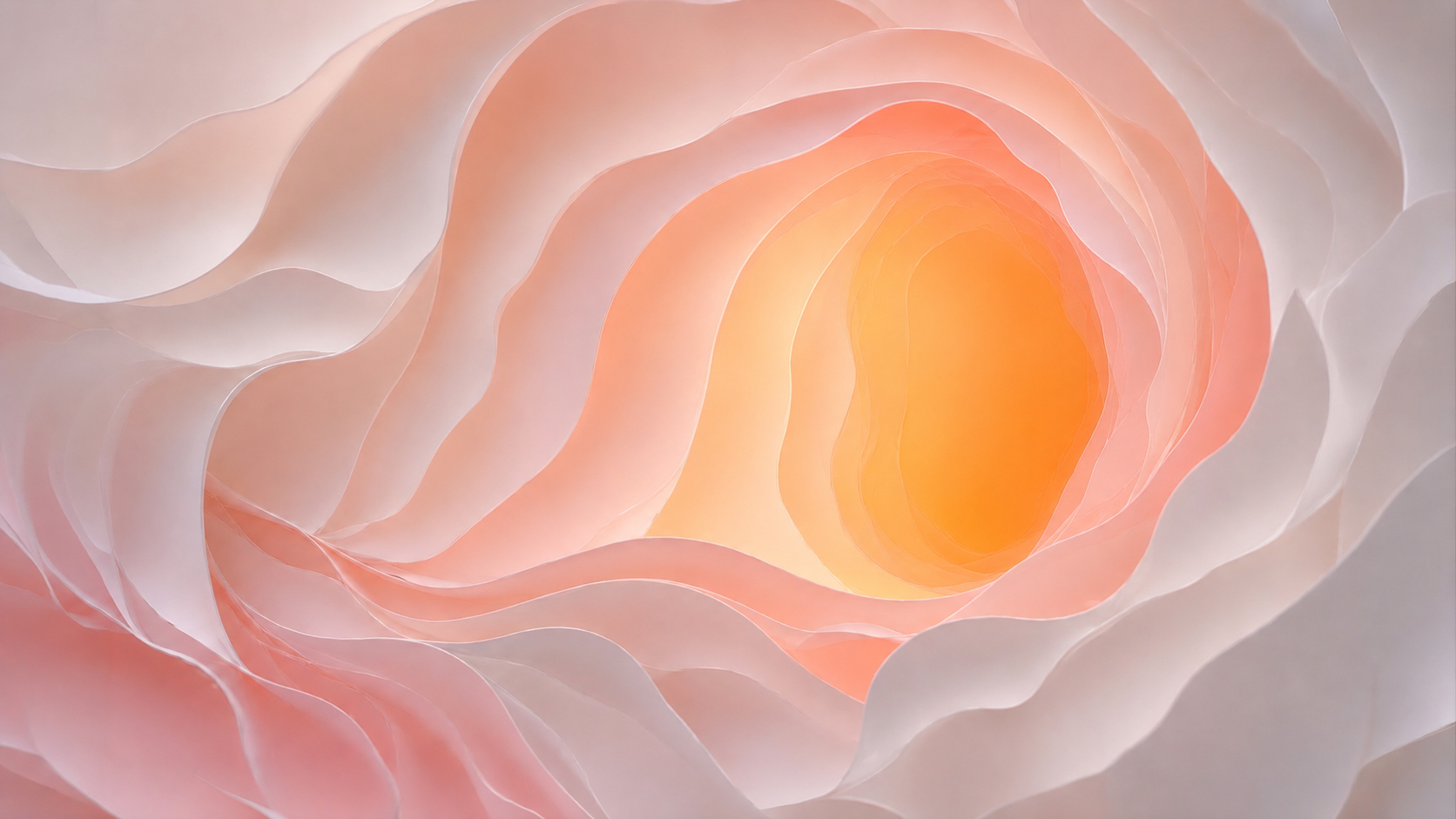 slider principal image
